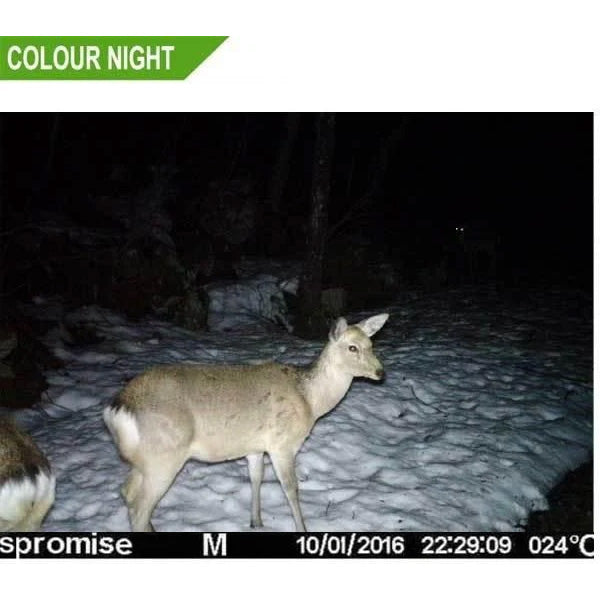 S376-C White LED Colour Night 4G Trail Camera